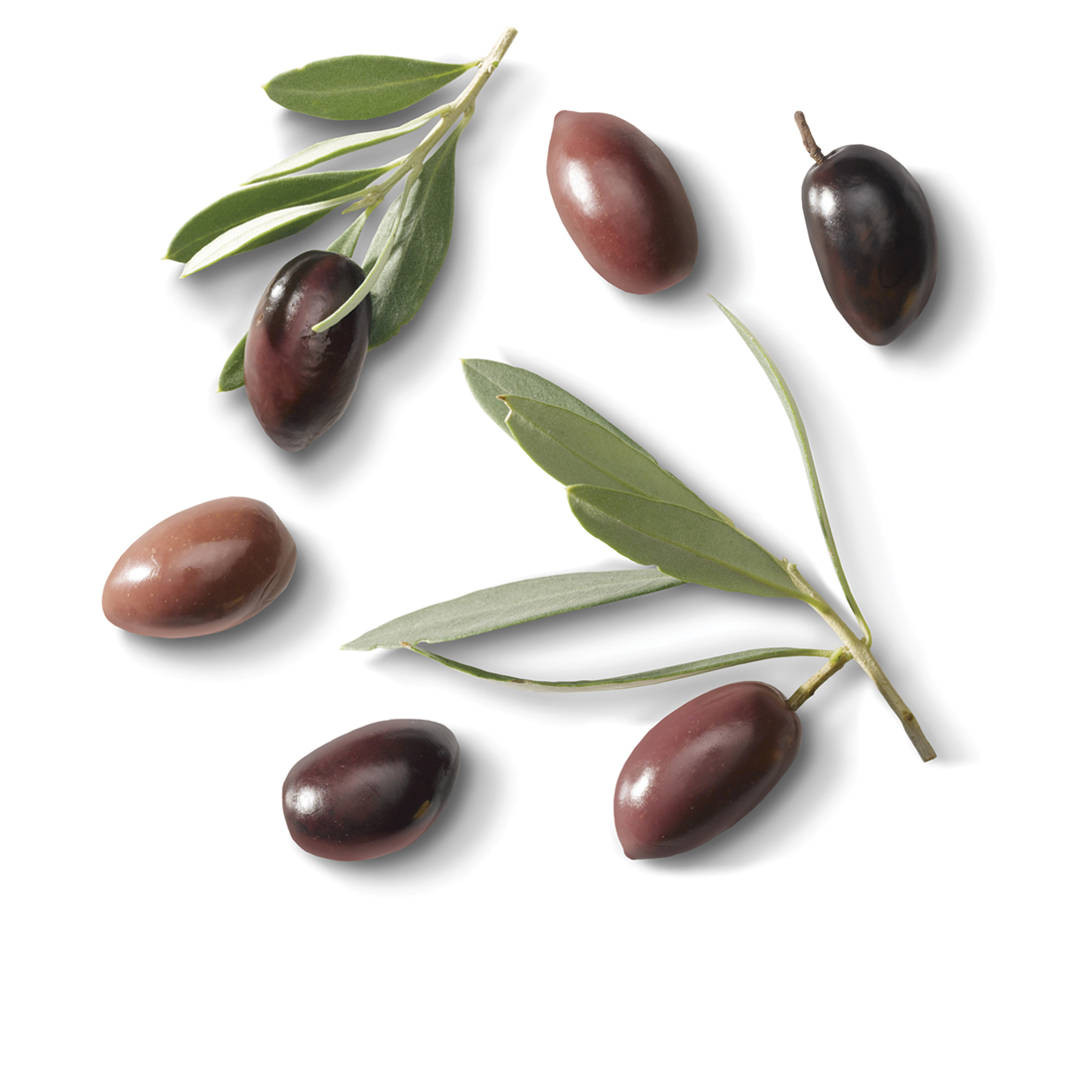 ingredienti patè di olive nere
